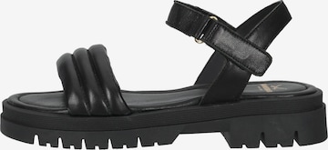 SANSIBAR Sandals in Black