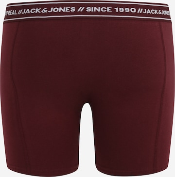 mėlyna Jack & Jones Plus Boxer trumpikės