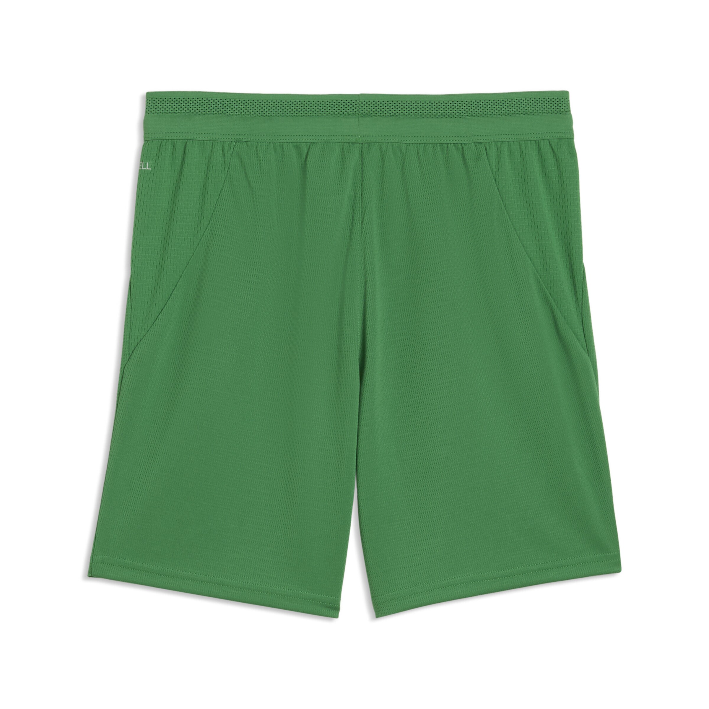 PUMA Regular Sportbroek 'Marokko' in Groen