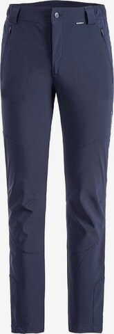 ICEPEAK Regular Workout Pants ' Dorr ' in Blue: front