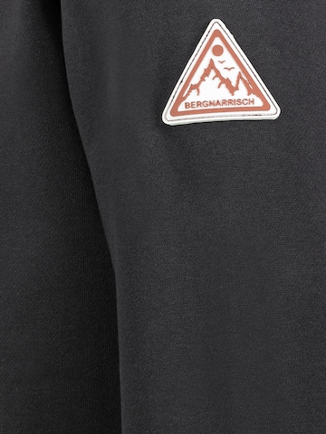 Sublevel Sweatshirt in Grau