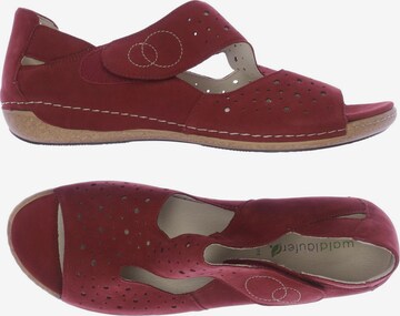 WALDLÄUFER Sandals & High-Heeled Sandals in 42,5 in Red: front