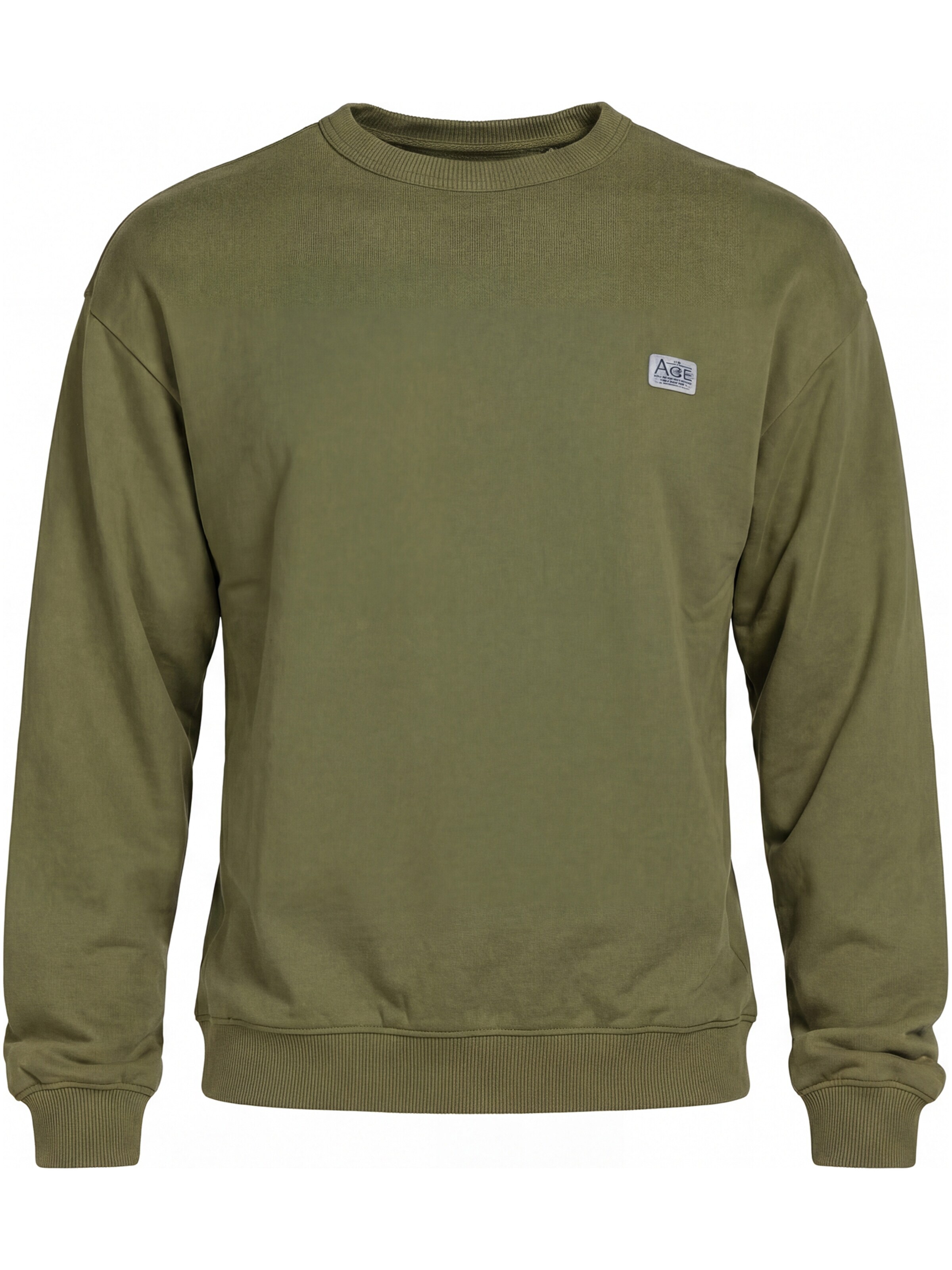 Carrera Jeans Sweatshirt 'Boxy Fit'‌‌‌‌‌‌ in Grün: Vorderseite