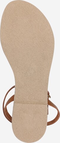 ABOUT YOU Sandalen met riem 'Anita' in Bruin