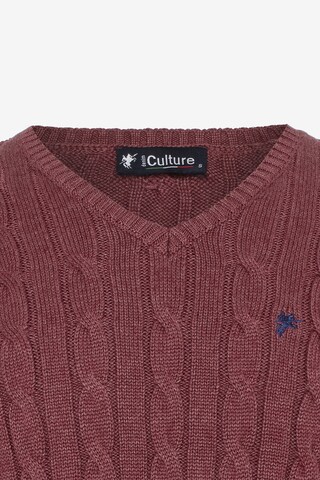 DENIM CULTURE Sweater 'MAURIZIO' in Red