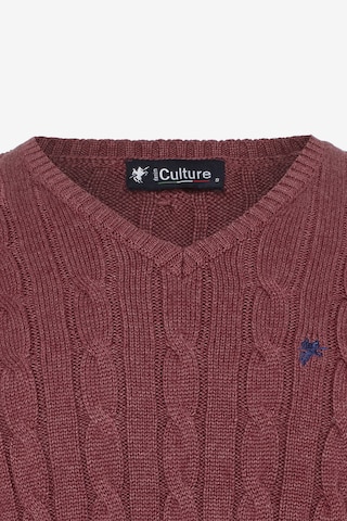 DENIM CULTURE Sweater 'MAURIZIO' in Red