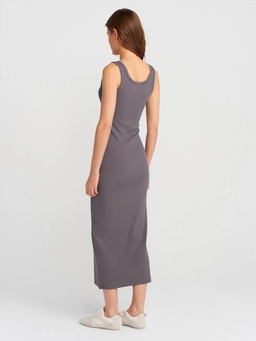 Robe Dilvin en gris