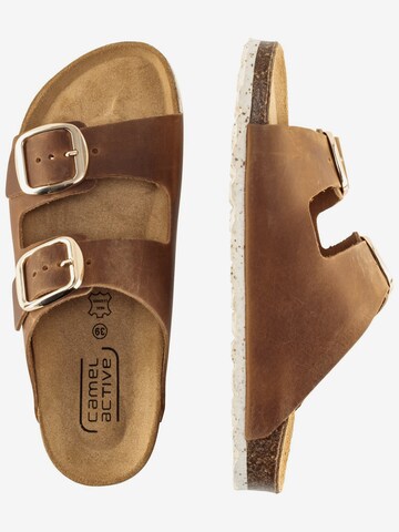 CAMEL ACTIVE Mules in Brown