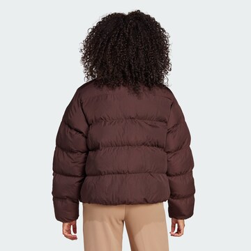 Veste d’hiver 'Short Vegan ' ADIDAS ORIGINALS en marron