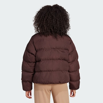 ADIDAS ORIGINALS Winter jacket 'Short Vegan ' in Brown