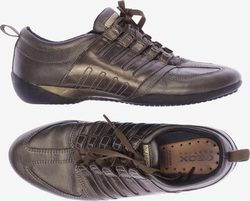 GEOX Sneakers & Trainers in 37 in Brown: front