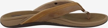 REEF Beach & Pool Shoes 'Pacific' in Brown