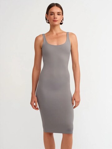 Dilvin Dress in Grey: front
