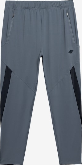 4F Spodnie sportowe w kolorze gołąbkowo niebieski / czarnym, Podgląd produktu