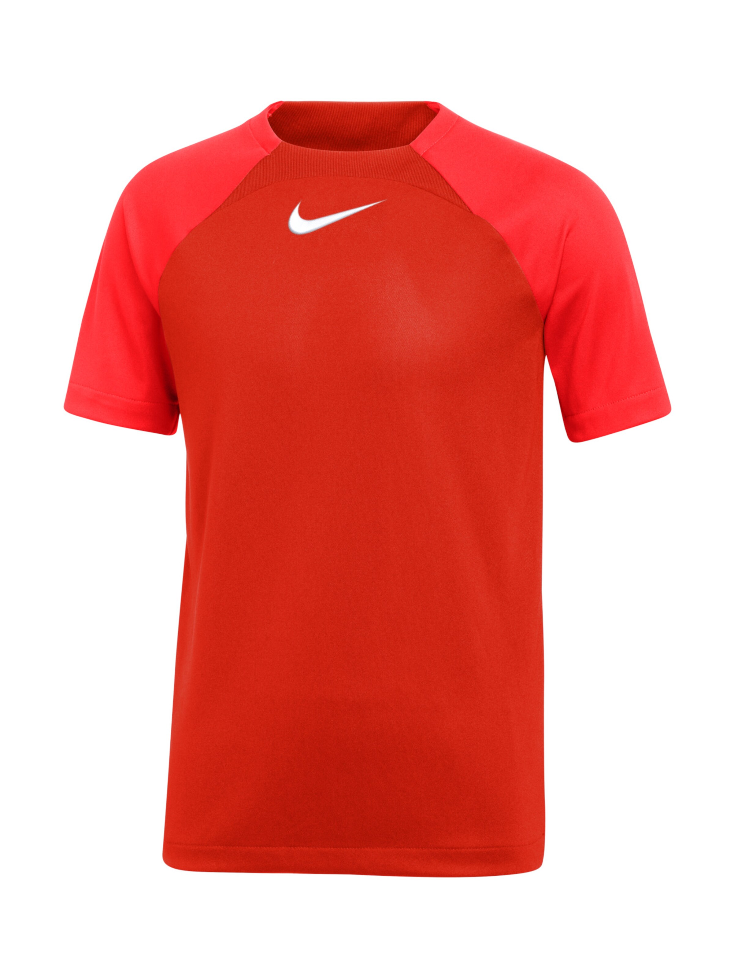 NIKE Funktionsshirt 'Academy' in Rot: Vorderseite