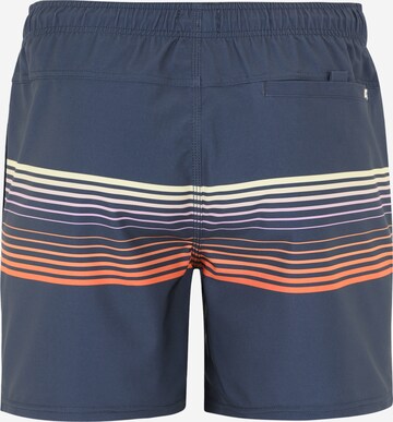 RIP CURL Uimashortsit 'SURF REVIVAL VOLLEY' värissä sininen