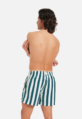 Gassa d'Amante Zwemshorts 'Varigotti' in Groen