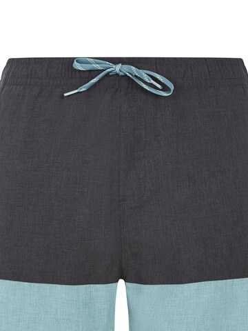 PROTEST Badeshorts 'PRTFreddie' in Grün