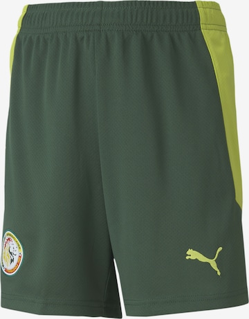 PUMA Workout Pants 'Senegal' in Green: front
