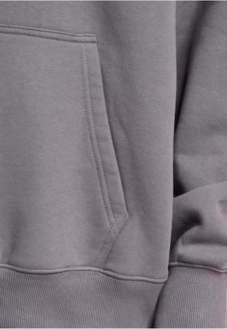 DEF Sweatshirt in Grau