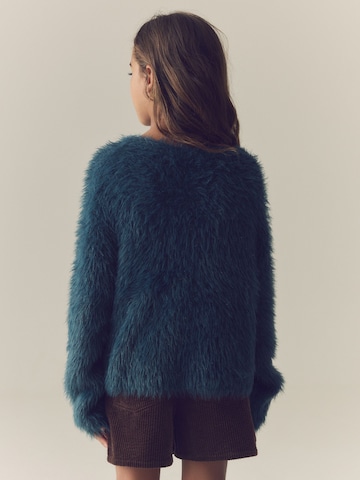 Next Trui in Blauw