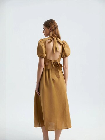 Hiccup Kleid in Braun