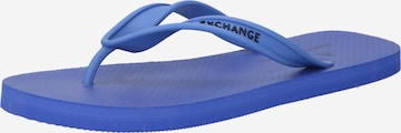 Tongs ARMANI EXCHANGE en bleu : devant