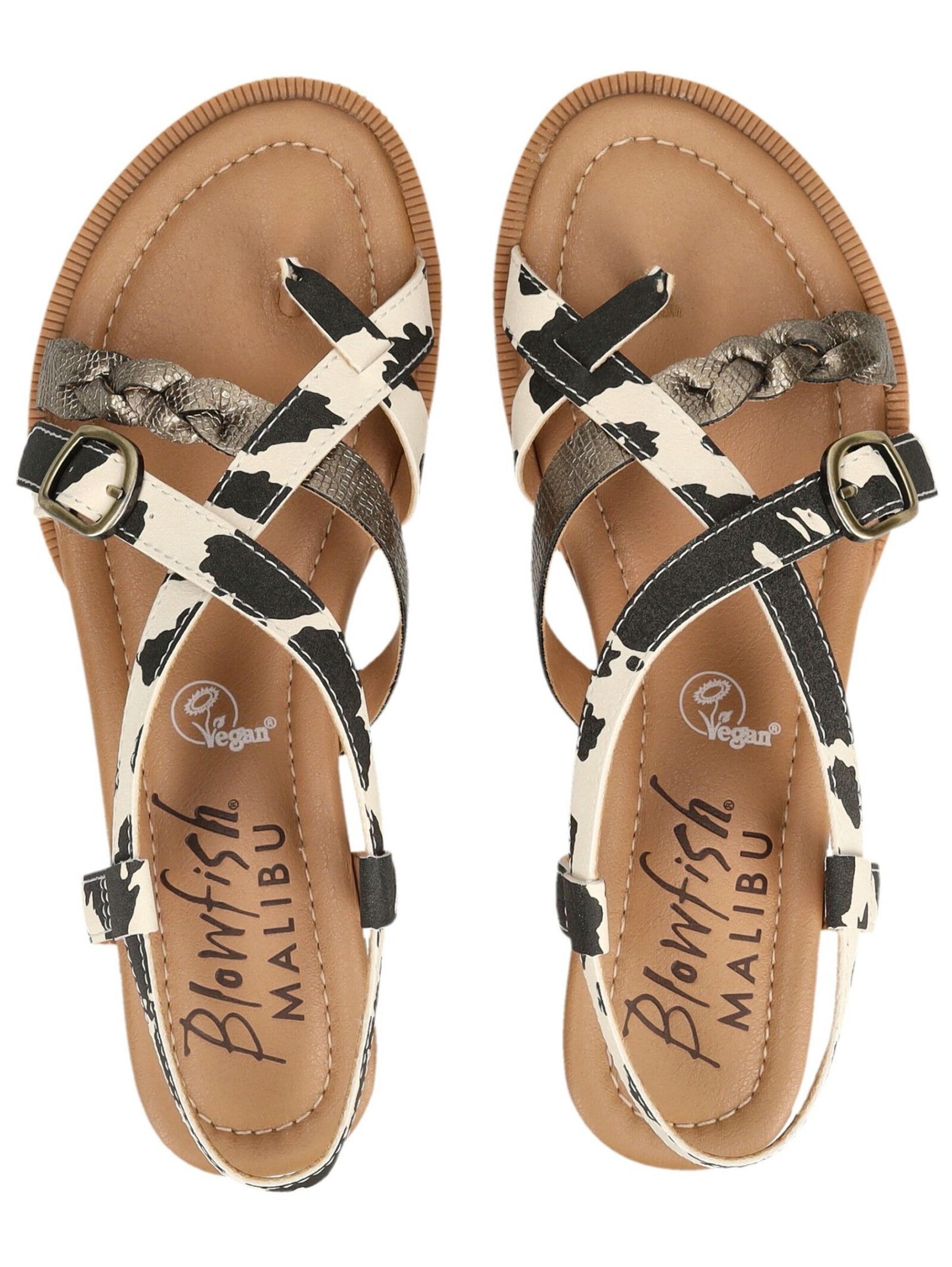 Blowfish Malibu Teenslipper in Zwart