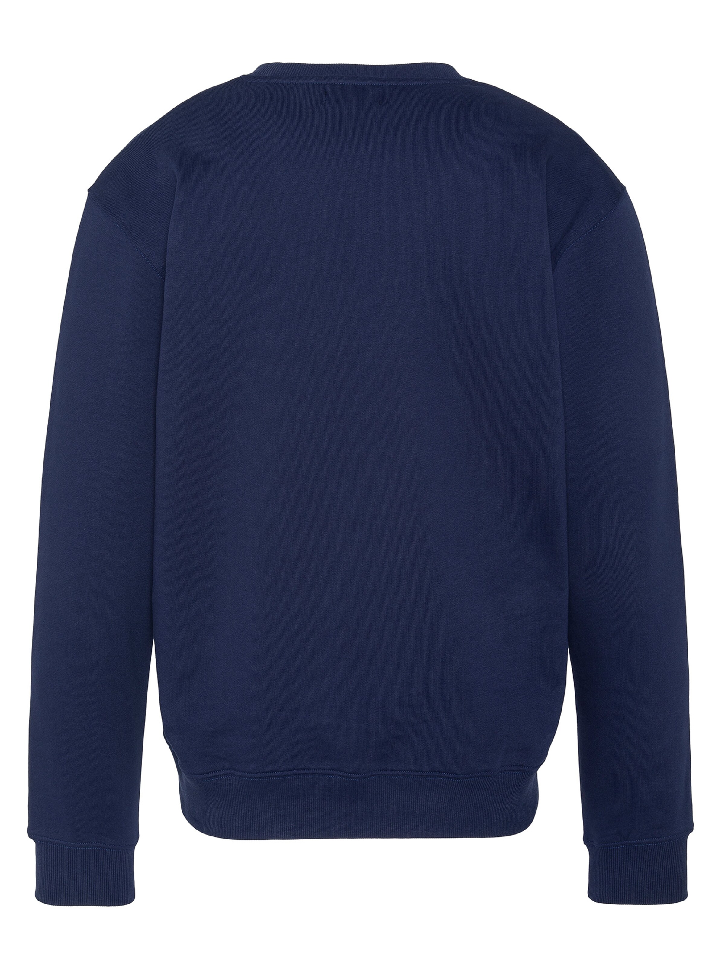 Schott NYC Sweatshirt‌‌‌‌‌‌‌‌ in Blau