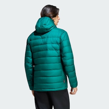 ADIDAS TERREX Μπουφάν πεζοπορίας 'Multi' σε πράσινο