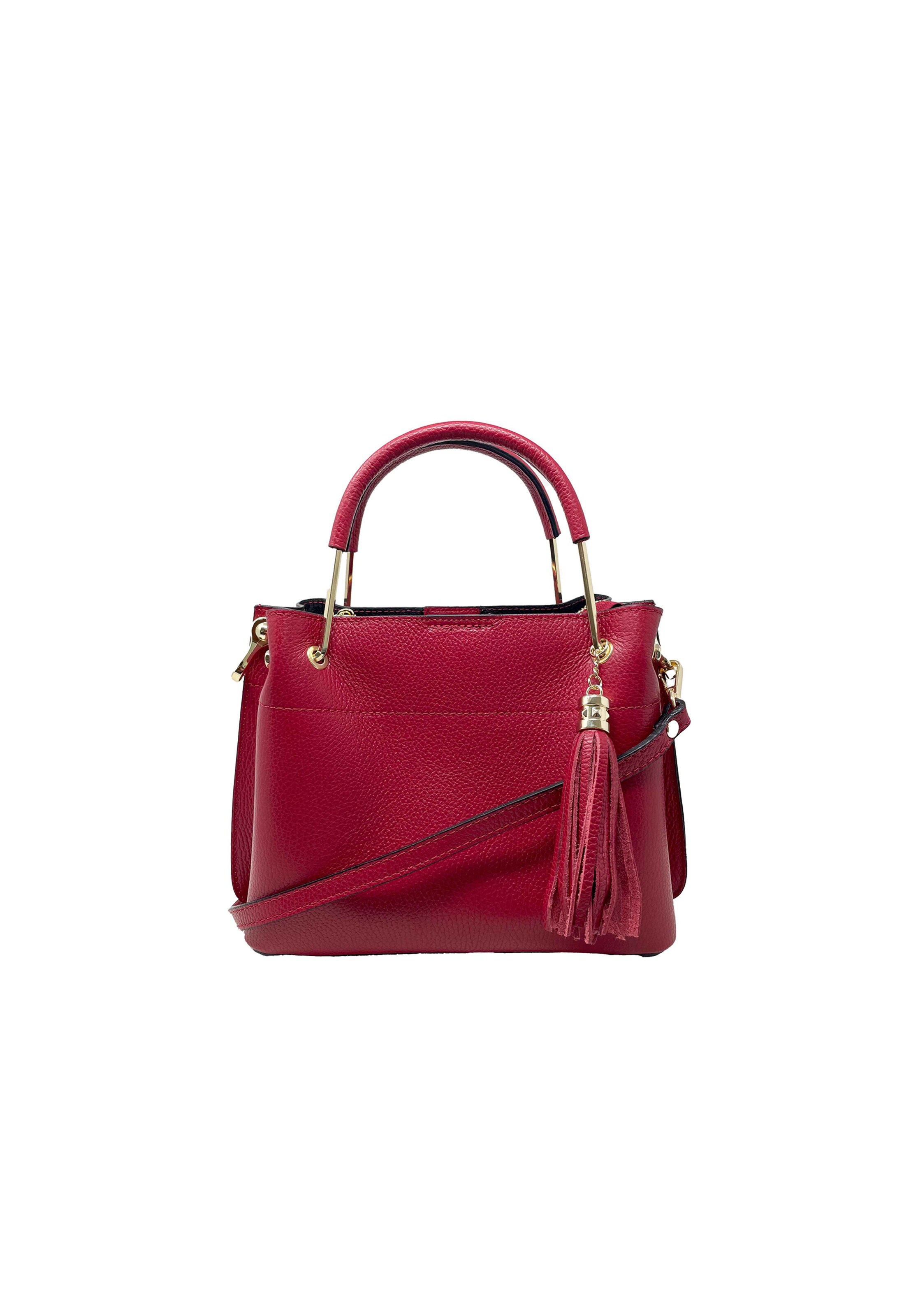 CHICCA BORSE Handbag in Red: front