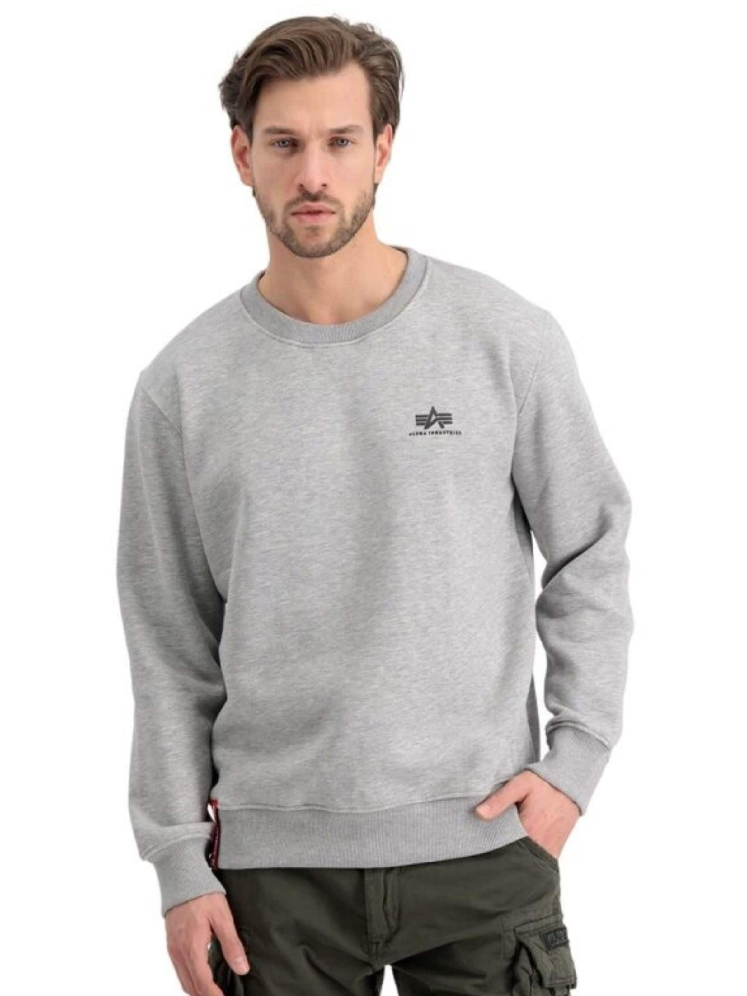 ALPHA INDUSTRIES Bluzka sportowa 'Basic Logo' w kolorze szary: przód