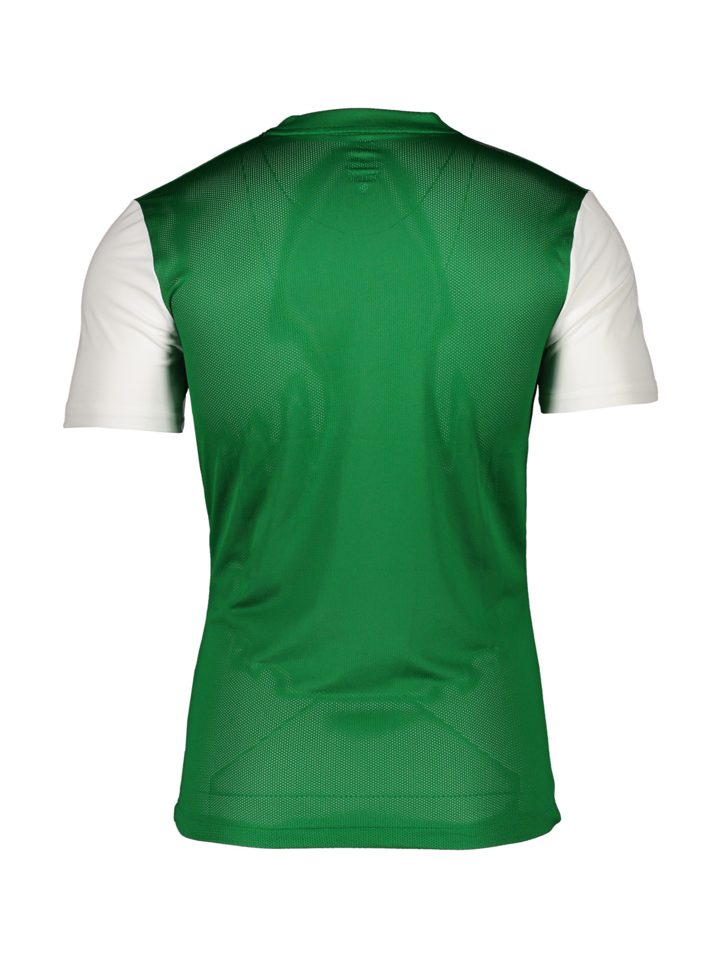 NIKE Trikot 'Tiempo Premier II' – zelená