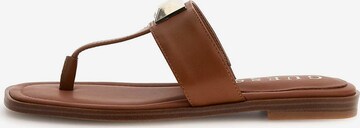 GUESS T-Bar Sandals 'Raison' in Brown: front