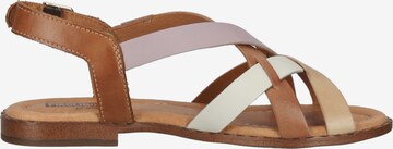 PIKOLINOS Strap Sandals in Brown