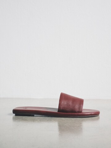 The Set Mule in Red