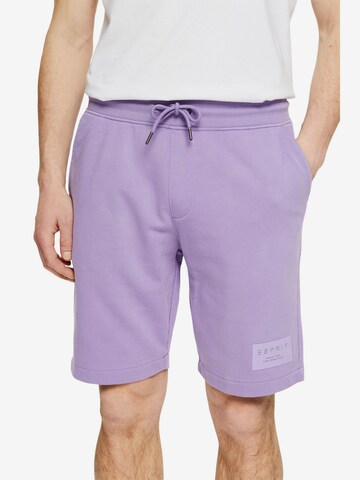 ESPRIT Regular Pants in Purple