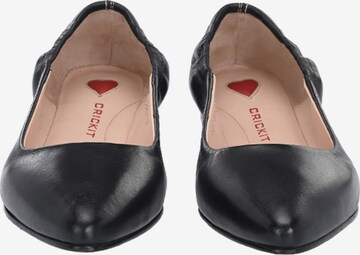 Crickit Ballet Flats 'AMELIA' in Black