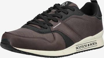 Baskets basses SCOTCH & SODA en marron : devant