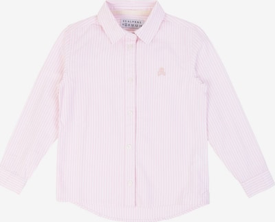 Scalpers Μπλούζα σε ροζ, Άποψη προϊόντος