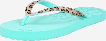 Tongs FLIP*FLOP en bleu : devant