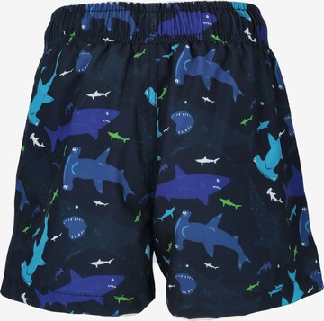 ZigZag Board Shorts 'Shark' in Blue