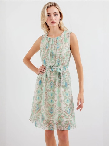 Bigdart Dress in Green