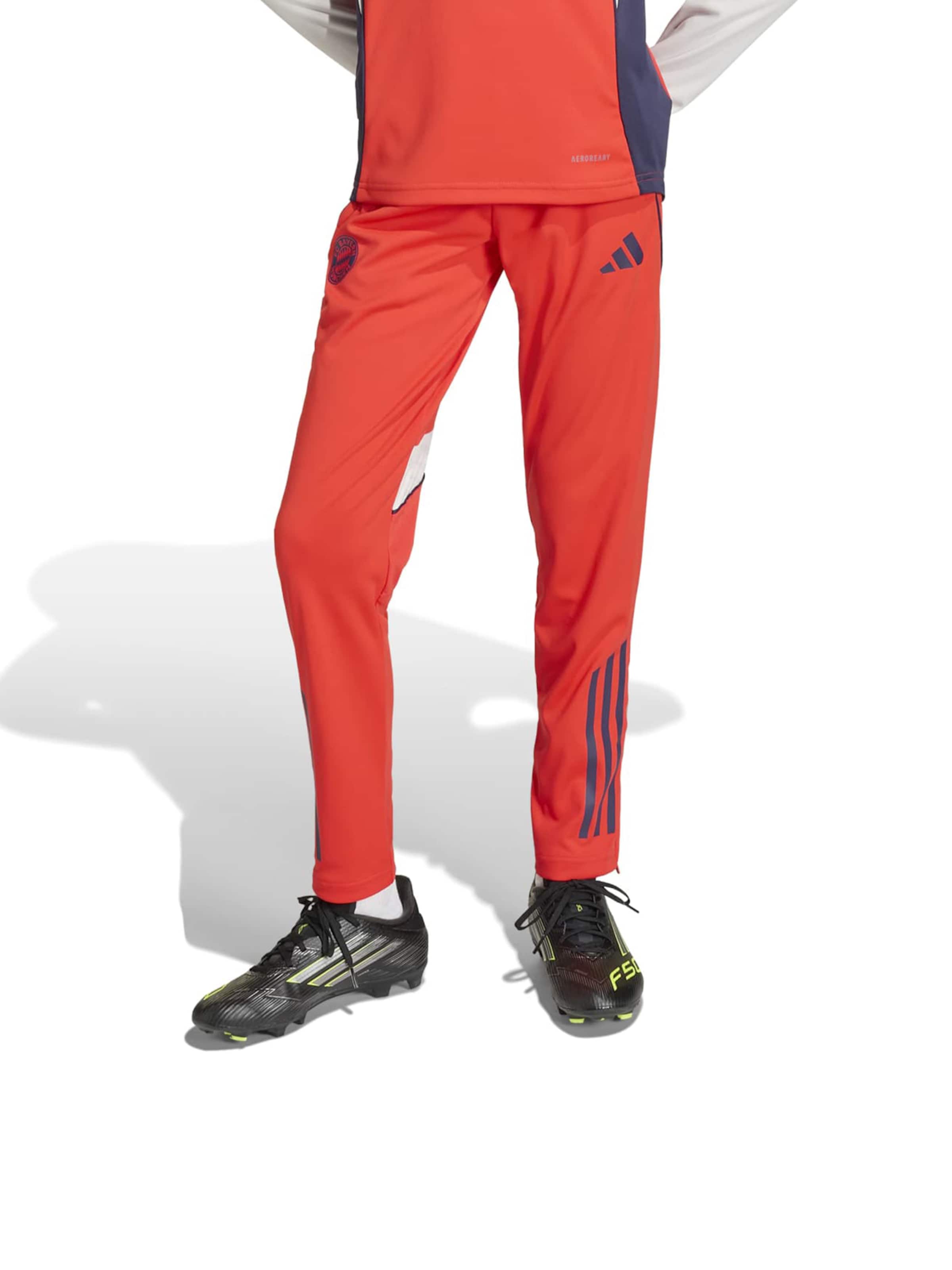 Regular Pantalon de sport 'FCB' ADIDAS PERFORMANCE en rouge : devant