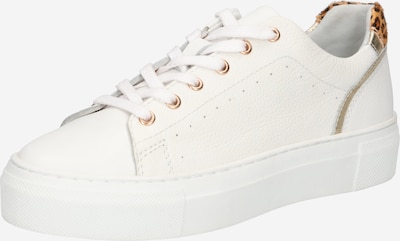 PS Poelman Zapatillas deportivas bajas en cognac / blanco, Vista del producto