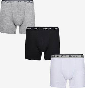 Reebok Boksarice 'AINSLIE' | siva barva: sprednja stran