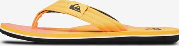 QUIKSILVER Zehentrenner 'Molokai Layback' in Orange: Vorderseite