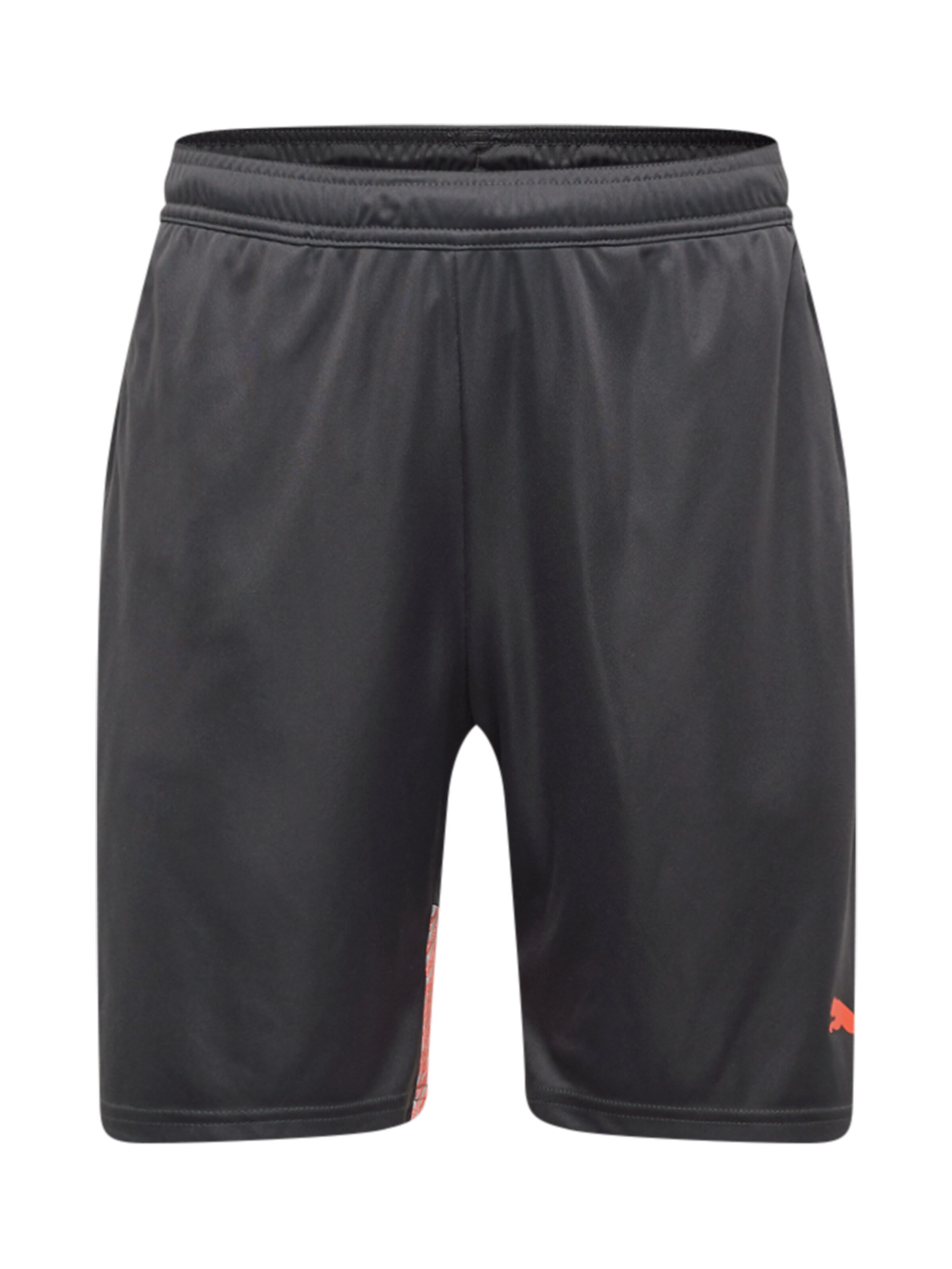 PUMA Regular Workout Pants in Grey: front