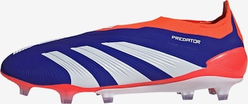 Chaussure de foot 'Predator Elite' ADIDAS PERFORMANCE en bleu : devant