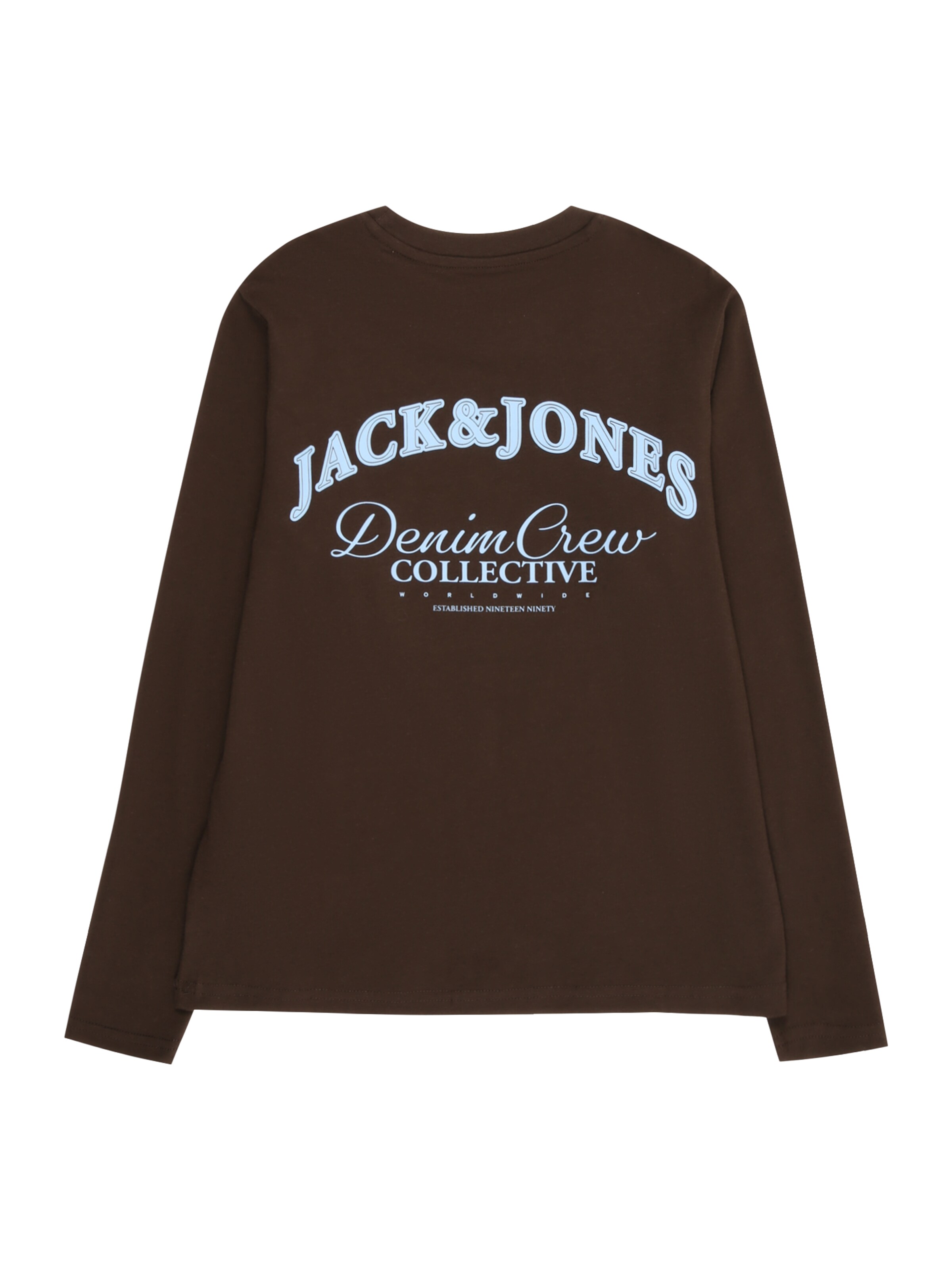 Jack & Jones Junior Shirt in Brown